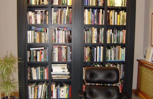 Bookcase and Chair